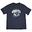 State University of New York at Geneseo/N/Primary Logo/Yt