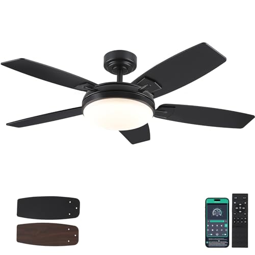 MADSHNE 52 Inch Black Outdoor Ceiling Fan with...