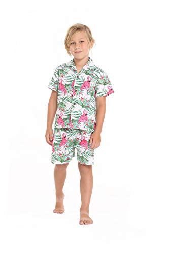 Hawaii Hangover Boy Aloha Luau Shirt Cabana Set in Flamingo in Love