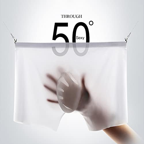 JESIFOF Men's Ice Silk Sheer Boxer Briefs #TOP2