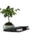 OneJoy Handyhülle, Handytasche, III, Handytasche, Smartphonetasche, Große Handytasche, Schwarz PX901