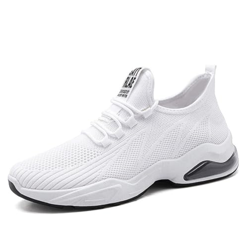 [DaishiDai] Y Xj[J[ jO EH[LO tBbglX W ʊw ʋ ʋC bV _炩 y ^C  (zCg, {̌C̃TCY@, l, l, 27.0 cm)