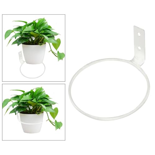 Image of Acrylic Design ArtPlant Pot Ring Wall Hanger Iron Modern Wall Mounted Hanging Bracket Flower Pot 8 inch Pack of 6