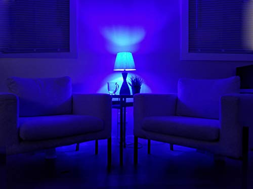 Sunlite 40940 Led Filament A19 Standard 4.5 (60 Watt Equivalent) Colored Transparent Dimmable Light Bulb, 6 Count, Blue #TOP4