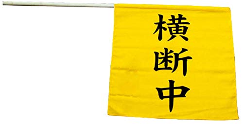 cCL za f v440×g450mmTCY ؐ|[ (15×910mm) t 0302-008