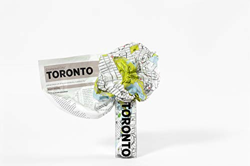 Télécharger Toronto Crumpled City Map PDF
