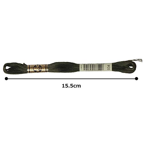 Image of DMC 6-Strand Embroidery Cotton Floss, Black Avocado Green