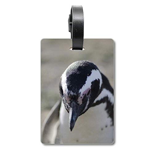 Étiquette bagage pingouin idée cadeau voyageur et enfant