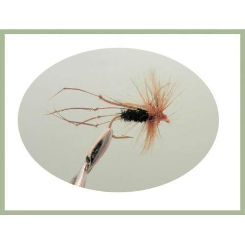 Daddy long legs Flies, 6 pack Peacock Daddy's, Choice of Sizes, Fishing Flies (10)