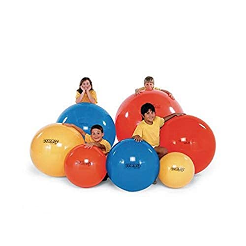 Ballons d'exercices Performance Health au salon restez actif en famille au quotidien