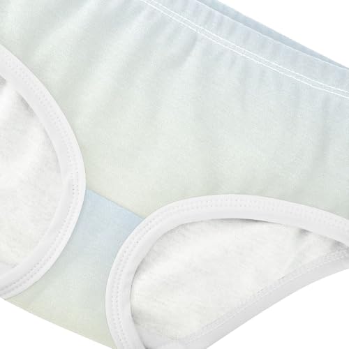 Joisal Elegant Blue Light Yellow Gradient Toddler Underwear Floral 2t Cotton Panties Little Girl Print Kids Briefs Undies4