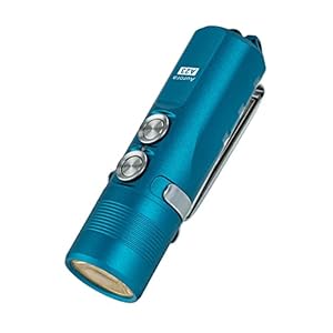 RovyVon Aurora A23 1000 Lumens Magnet Keychain Flashlight, USB C Rechargeable EDC Flashlight, IPX8 Waterproof Compact Pocket Flashlight (Blue)