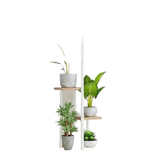 Sefoemutt[X^h 5 iKiAI kX^CI S؍ސw|bgX^h |[bN oRj[rOp (5i6,I[N)