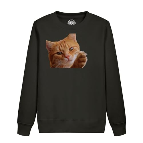 Sweat enfant chat roux poil long mignon le cadeau d'anniversaire parfait pour petit
