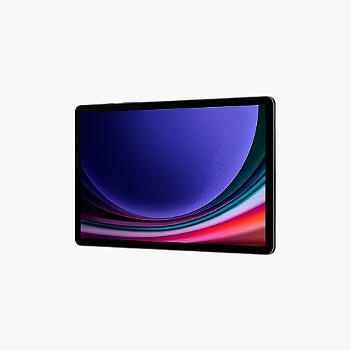 Tab S9 Grafite, 256GB, 11
