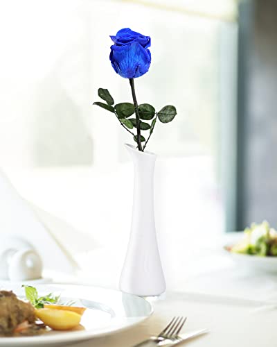 Image of Blue Flowers for Delivery Prime, Preserved Blue Roses Flower Gifts for Women, Real Roses Single Rose Gifts for Her, Mom Birthday Gifts from Daughter, Valentines Flowers