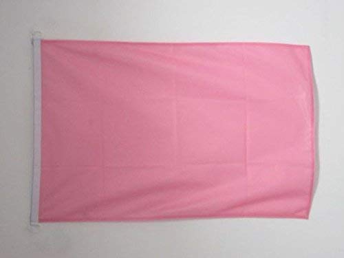 AZ FLAG, Plain Pink Flag, 2x3 Ft, For Outdoor, Pink Solid color Banner Knitted Polyester with Two Plastic Rings
