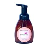 Rejoice All Natural Foaming Hand Soap (Sandalwood)| Moisturizing and Cleansing | No Palm Oil, Phthal