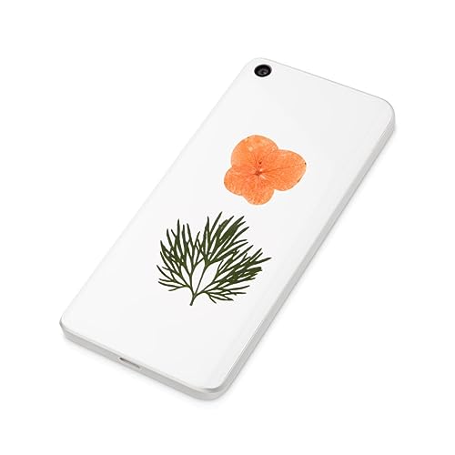 Kit de flores prensadas secas para manualidades color naranja