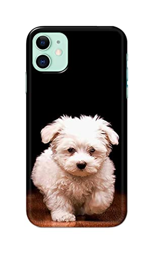 Image of PRINTFIDAA� Printed Hard Back Cover Case for Apple iPhone 11 Back Cover (Puppy Dog) -2808