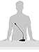 Monoprice Commercial Audio Desktop Paging Microphone with On/Off Button (No Logo),Black