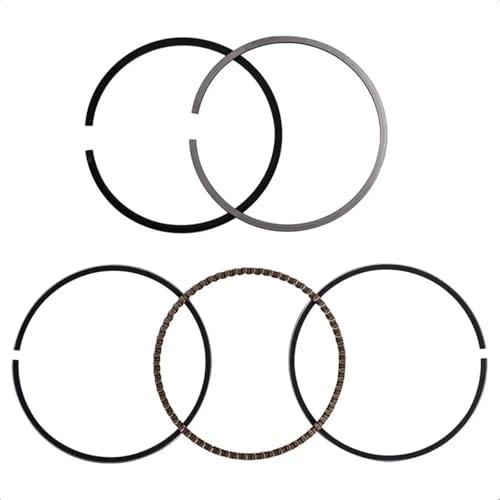 YGJRXF Kit De Anillos De Pistón para Motor De 1 Cilindro De 200 CC De 67 Mm 15A-11605-00-00 para Y&amaha XJ900RK 1983 TW200 1987-2003 TW 200