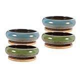 Pot de pépinière succulent: le pot avec plateau est pratique, de taille appropriée, pour économiser la plupart de l'espace de votre bureau ou de votre jardin, jardinières succulentes en plein air