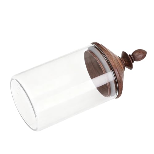 Toyvian W KX r 킢 Hi [ r LfB ؐ W  Hi LjX^[   e p Lb` KX e p i