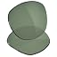 Green Grey Polarized