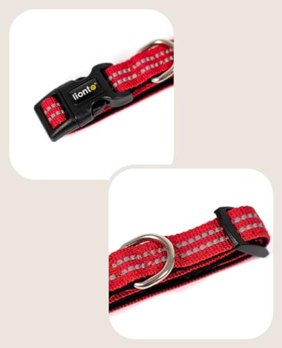 lionto Hundehalsband aus strapazierfähigem Nylon, Größe XS, weiches gepolstertes Halsband für Hunde, 360° reflektierend & Klickverschluss, Metallring & Anpassung durch stufenlosen Schieber, rot