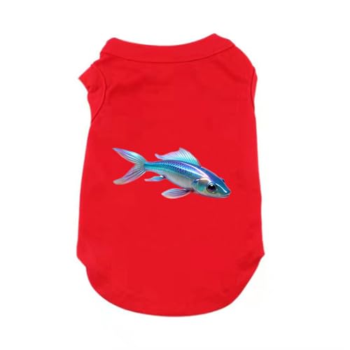 [QINTIW] hbOEGA ybgEGA ^Ngbv ̕ M  Ȃm[X[u m L JWA 킢  p ^ ^Eѕی U o ybgEFA _炩 Ȃ t  H ybgpi bh O