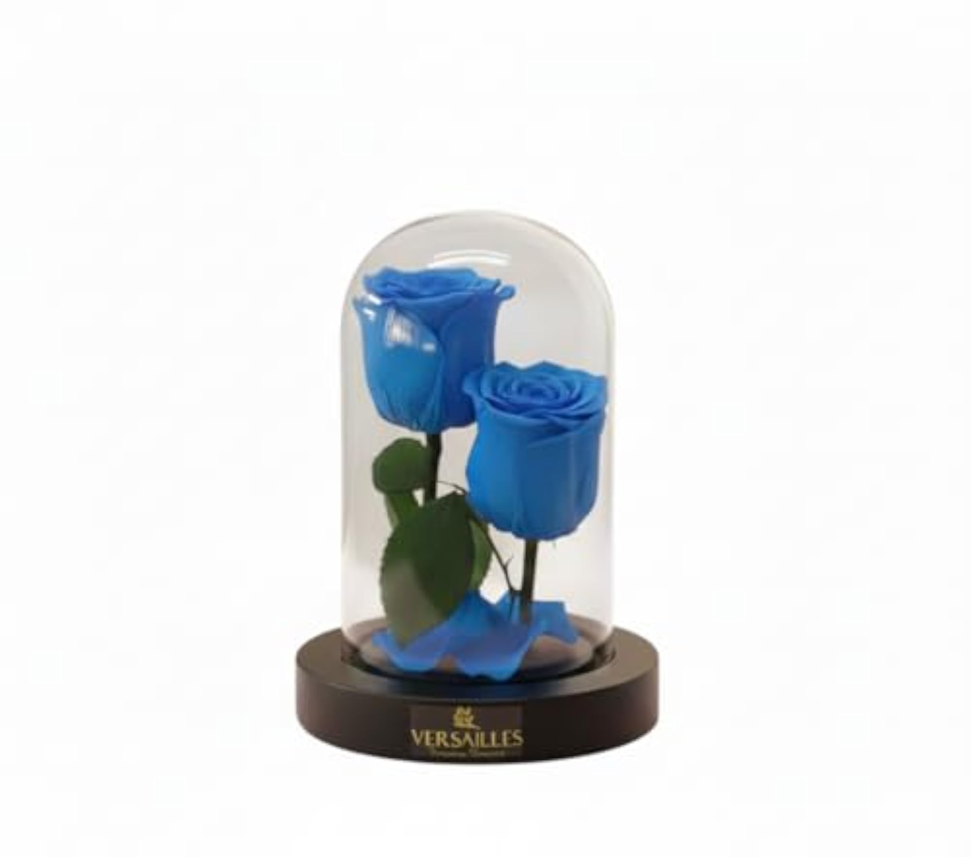 Preserved Double Blue Rose in Glass Dome