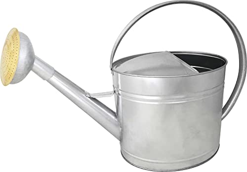 Gießkanne 13 l Tole GALVA - Apfel GALVA Gitter Messing Cover