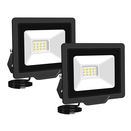 RIGIDON 2 Pcs Outdoor Flood LED Work Light, 10W 1000 Lumens Floodlight, Daylight Cold White Security Lights for Garden Yard Lawn Basketball Football Court Patio Landscape, IP66 Waterproof 6000K