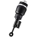 Brand New Air Suspension Front Left for 2003-2006 Ford Expedition Lincoln Navigator Driver Side