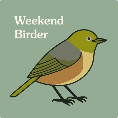 120 This Bird - with Astred and Holly cover art