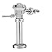 Delany U402-1.28-SC-T42 Exposed Flushboy Ultra Valve for High Efficiency Water Closet