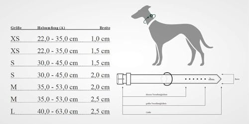 HUNTER VARIO BASIC Hundehalsung, Hundehalsband, robust, geschmeidig, Klickverschluss, S/1,0, orange