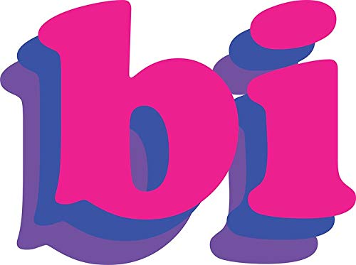 Imán decorativo Bisexual Pride 5 pulgadas miniatura 1
