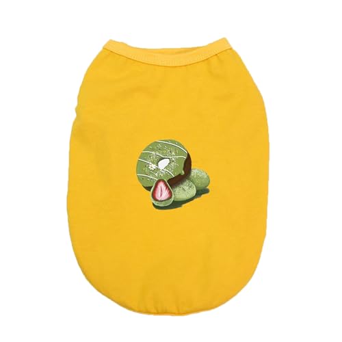 [QINTIW] Lbg EGA fUC1 ybg  L ^ ^ ^  Be  Mtg XL v[g ɏ ^ ̕ L̕ ̎q j̎q Eѕی m q ƒ TVc hbOEFA