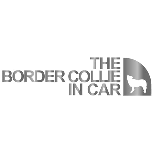 AEghA {[_[R[   Vv  XebJ[ V[ hbO C J[  Ă܂ Lv oR uh 킢 ObY G Mtg v[g j q Ԃ JCC IV h  (329