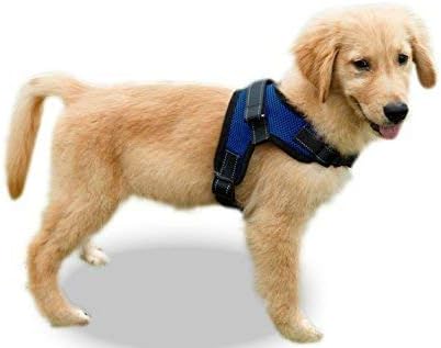 Copatchy No Pull Reflective Adjustable Dog Harness with Handle (Large Blue)