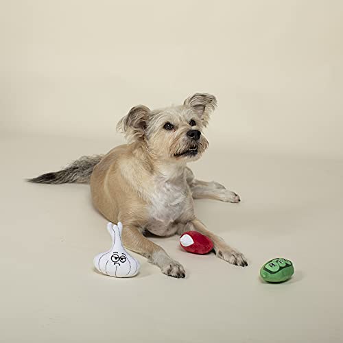 Fringe Studio Plush Dog Toy Set, Veggies, 3 Piece Set, for Small Dogs (289508) Fringe Studio Plush Dog Toy Set, Veggies, 3 Piece Set, for Small Dogs (289508)