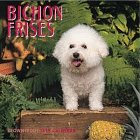 Cal 99 Bichon Frises Calendar