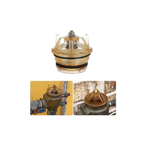RILDWO Bonnet Poppet Repair Kit for 765 1 & 1-1/4 Valves - Replacement Part 905-212 Complete Assembly