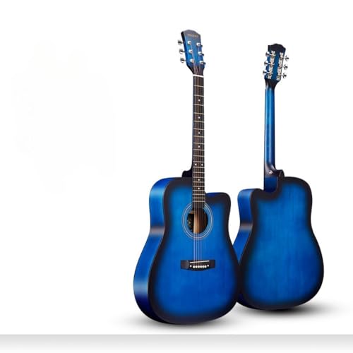 AZIEBAY 38/41C` M^[ tH[NKpsAm Xv[X S jp y w y (Xm[{[h 41C` u[ + MtgobO)