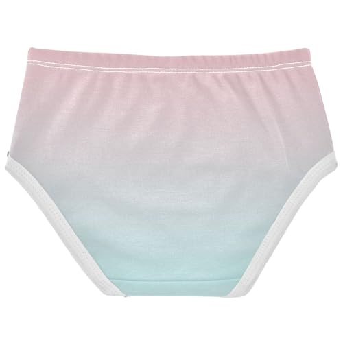 Joisal Blush Pink Pale Turquoise Gradient Panties for Girl Toddler Girls Underwear Cotton Fun Briefs Kids Undies 2t2