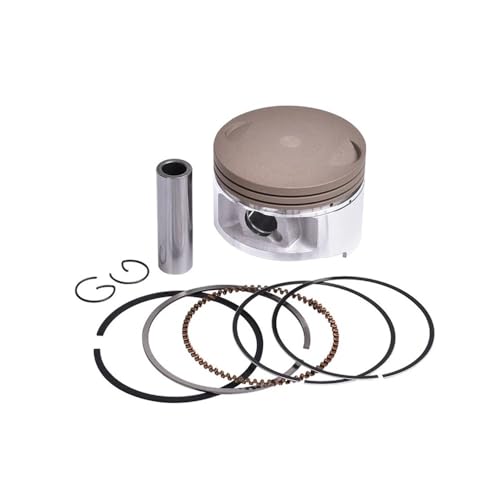 STD +25 +50 +75 +100 70mm 70.25mm 70.5mm 70.75mm 71mm �I�[�g�o�C�s�X�g���ƃ����O�L�b�g XT 225 5HO XT225 1987-2006 2007�ɓK��(0.25 Piston Ring)