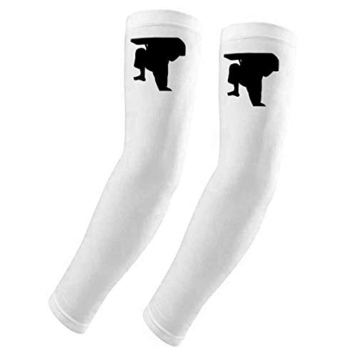 Manchons de protection UV Shaolin Kung Fu gants longs sport été
