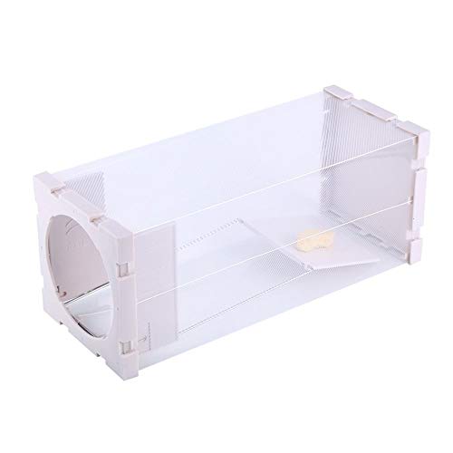 Preisvergleich Produktbild Eastbuy Mausefalle - Humane Rattenfalle Käfig lebende Tierpest Nagetiermäuse Maus-Köderfang
